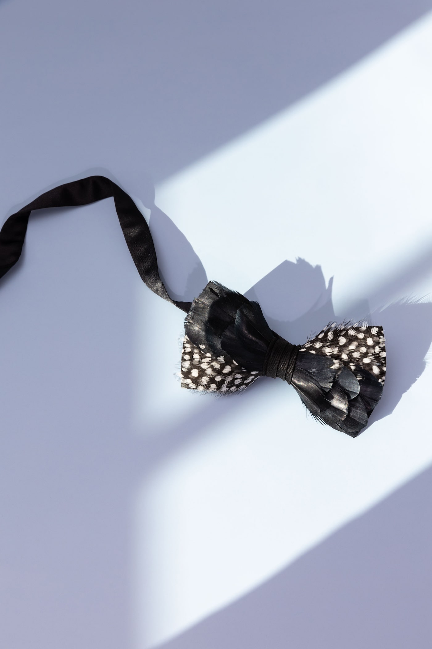 Artsy shadow bowtie flatlay