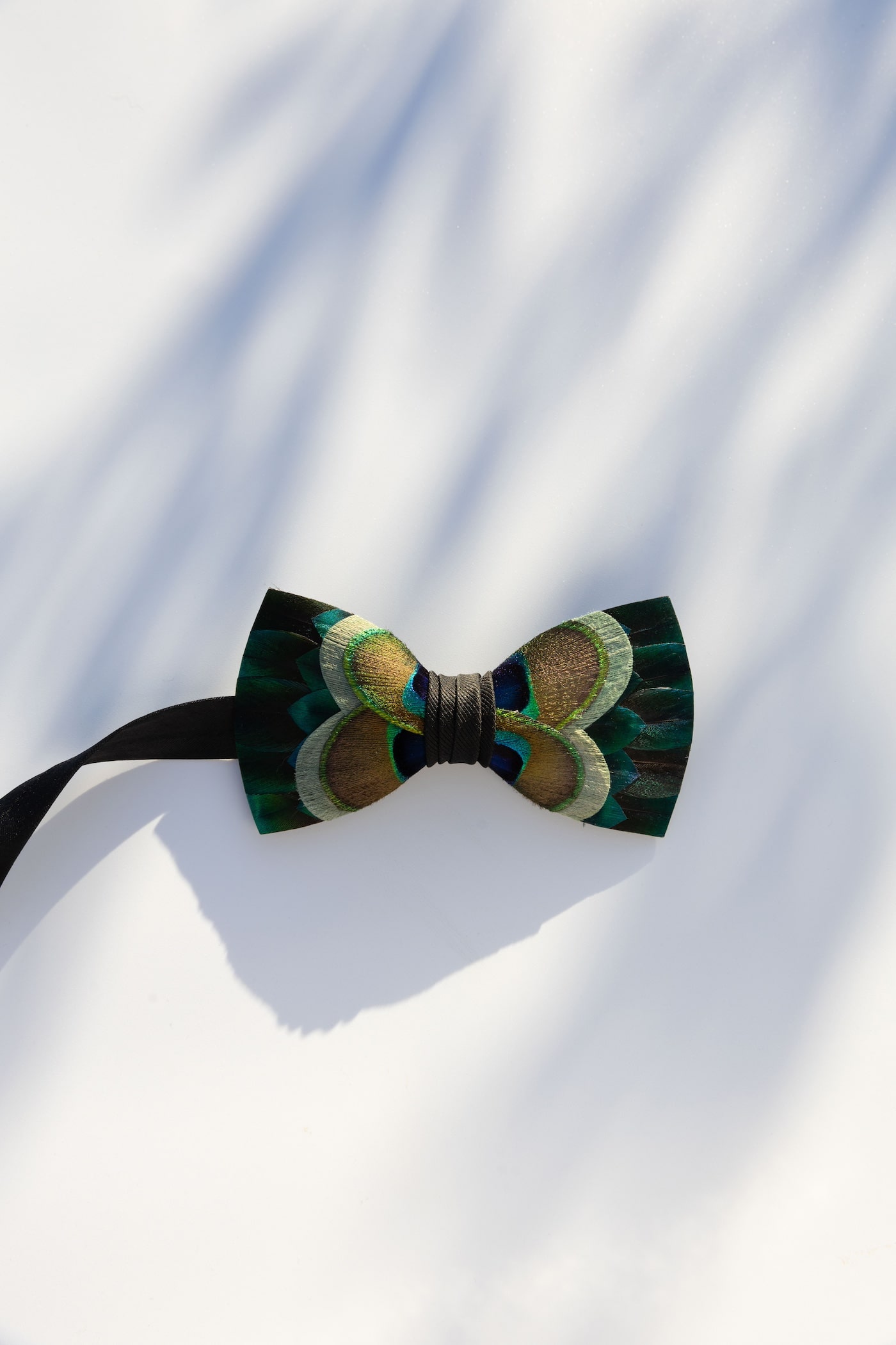 Men's bowtie flatlay product photo