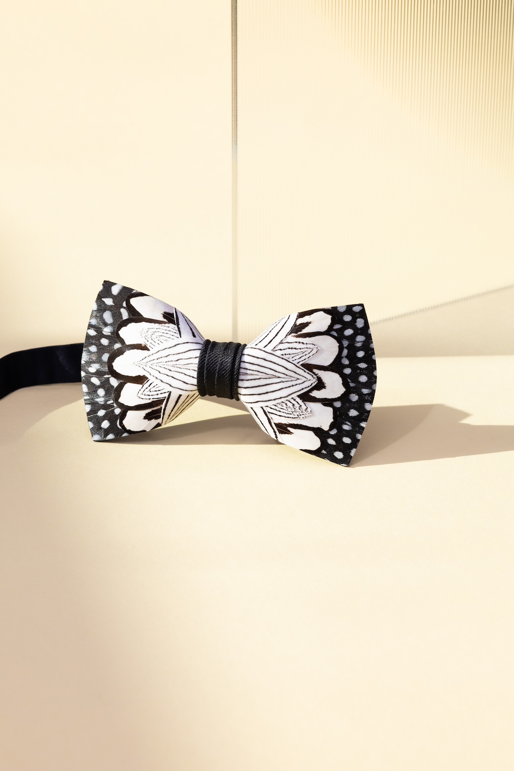 bow-tie-photography